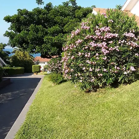 Appartamento Holiday Homes *